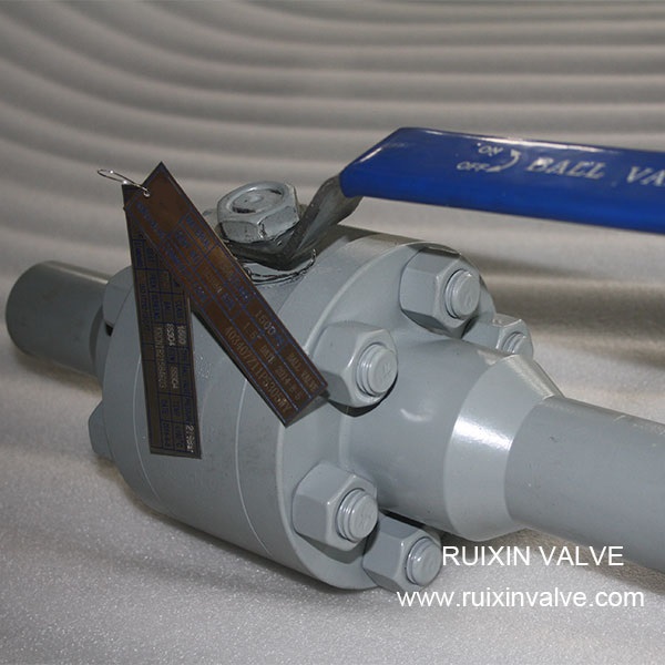 https://www.rxval-valves.com/forged-steel-ball valve-with-extended-nipple-product/