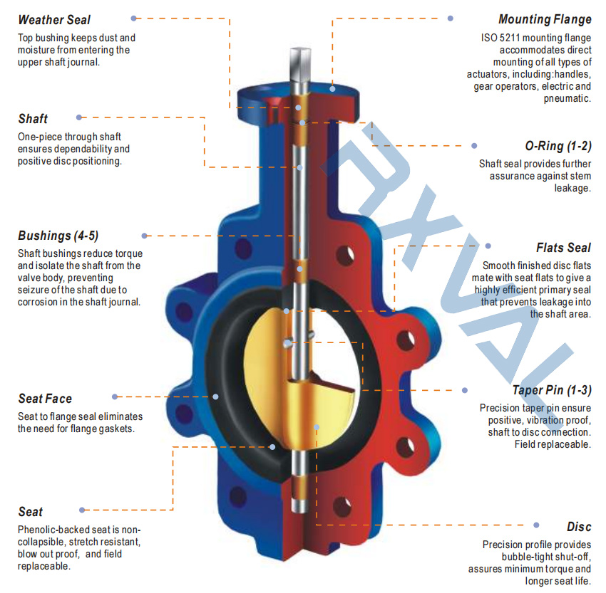 Lug Concentric Butterfly Valve (5)