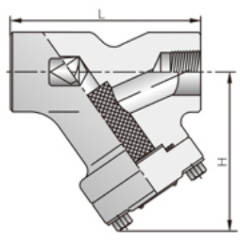 Forged Y Strainer (1)