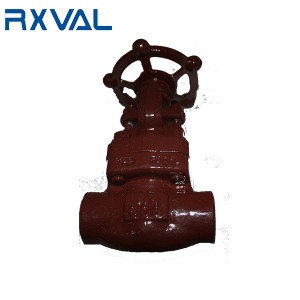 SW Socket-Welding Forged Gate Valve 800LB 1500LB