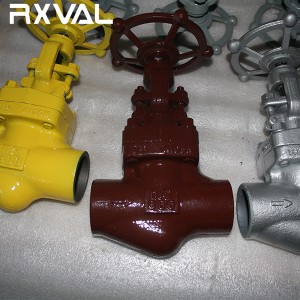 API 602 Forged Steel Globe Valve NPT/BW/SW