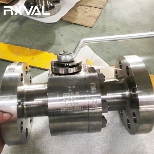 Metal Seat Forged Trunnion Mounted Ball Valve