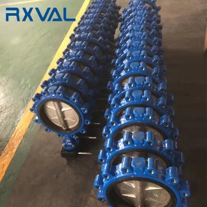 Lug Concentric Butterfly Valve