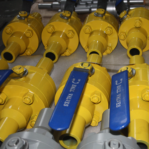 Forged Steel Ball Valve with Extended Nipple