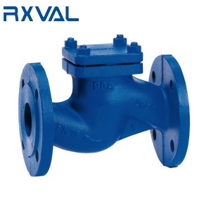 DIN Swing Check Valve with Flanged End