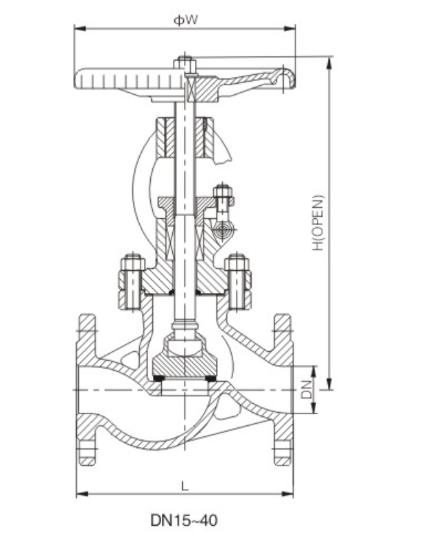 DIN Globe Valve (1)