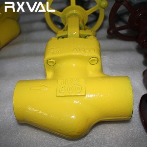 API 602 Forged Steel Globe Valve NPT/BW/SW