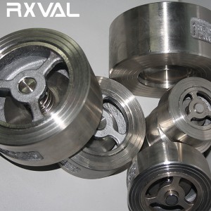 API 594 Dula Plate Check Valve